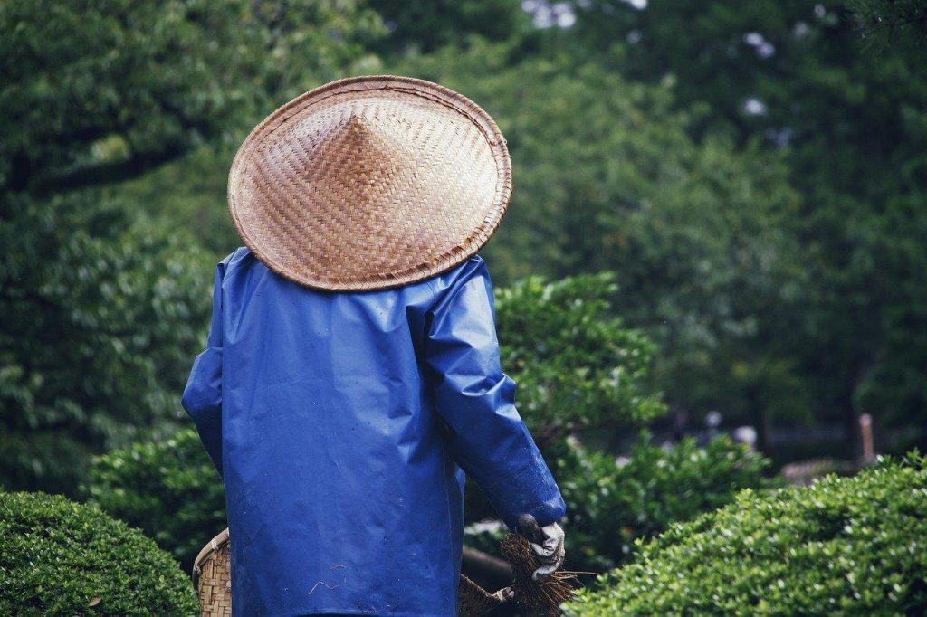 Prachtige aangelegde tuin door een professionele hovenier in Alkmaar met terrassen, groen en ontspanningshoekjes